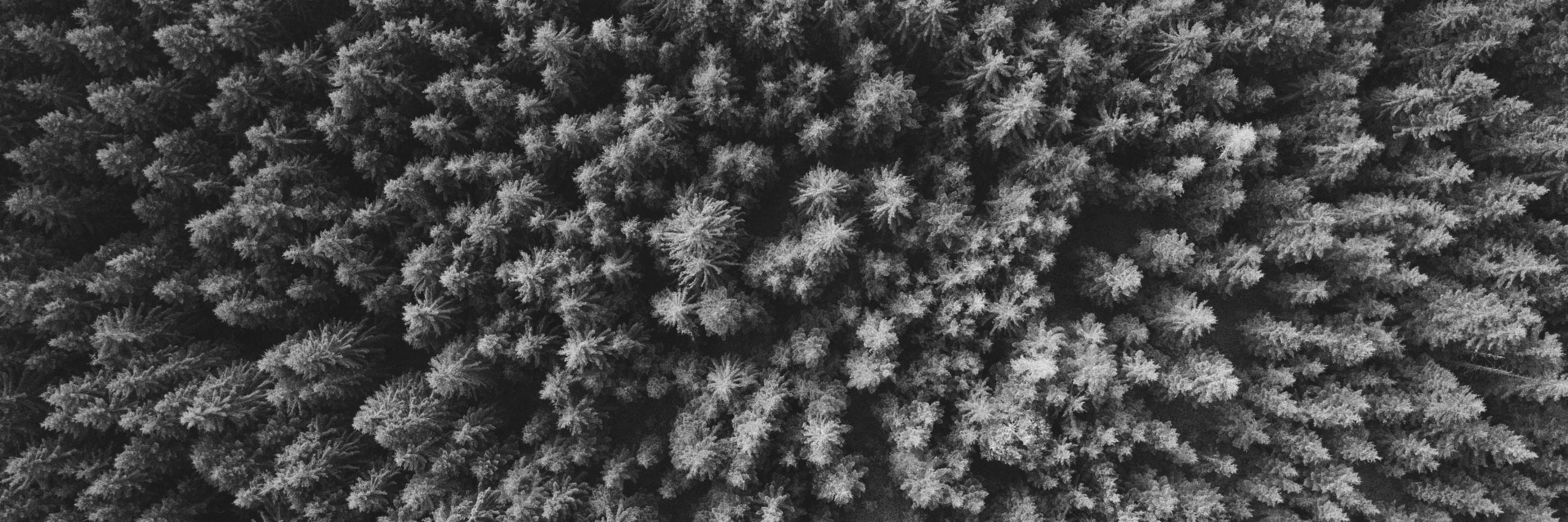 Environment